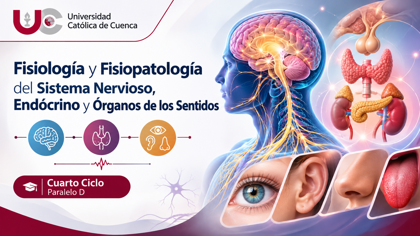 Fisiología y Fisiopatología del Sistema Nervioso, Endócrino y Órganos de los Sentidos